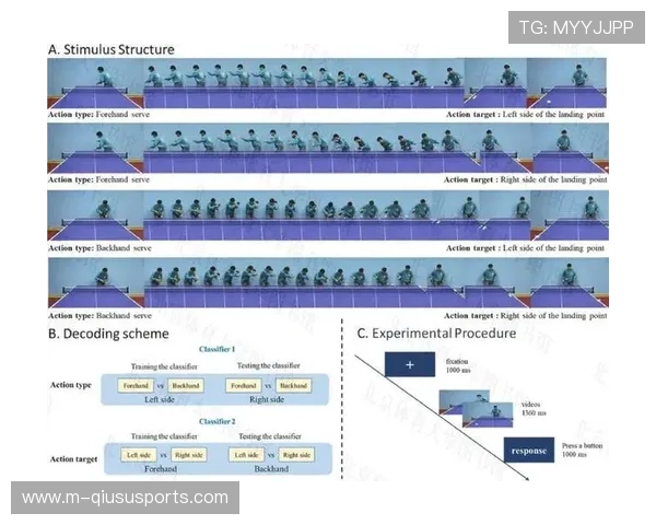 体育数字运营平台引入游戏化元素 增加趣味性